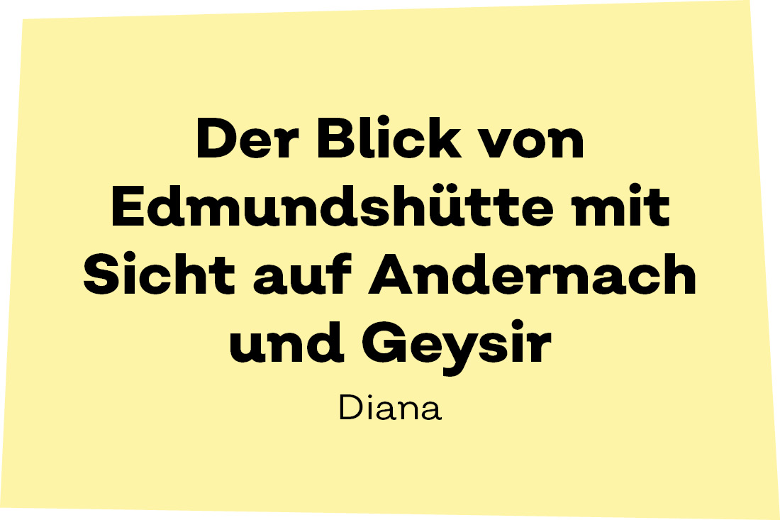 Der Blick von Edmundshütte mit Sicht auf Andernach und Geysir. - Diana